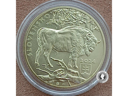 Zberateľská minca 5 eur / 2024 Fauna a flóra na Slovensku – zubor hrivnatý