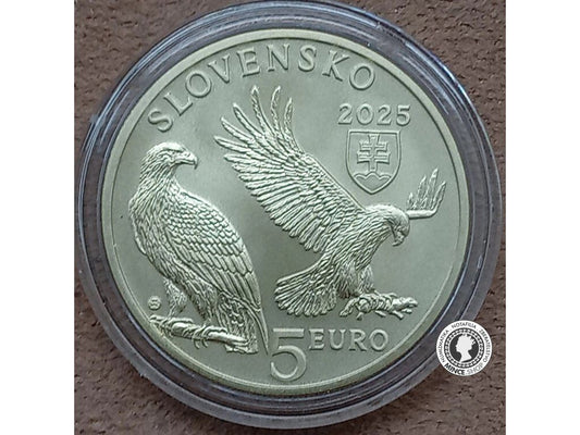 Minca 5€ (2025) - orol kráľovský